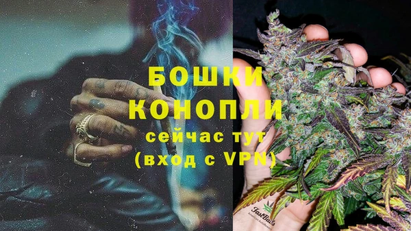 ПСИЛОЦИБИНОВЫЕ ГРИБЫ Богородицк