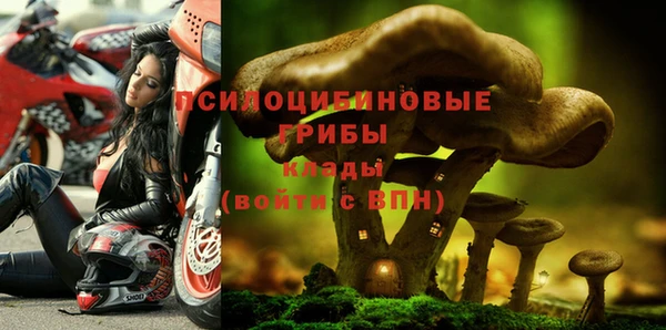 мескалин Богданович