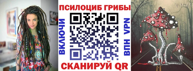 закладка  Козельск  маркетплейс телеграм  Псилоцибиновые грибы Cubensis 